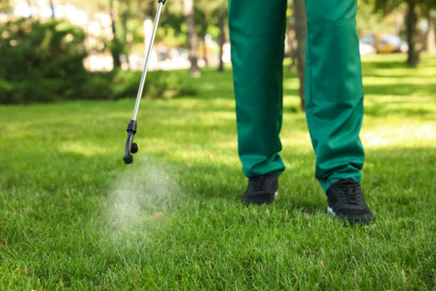 Best Pest Removal Services  in Ellis, KS