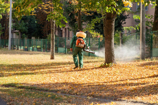 Pest Control for Restaurants in Ellis, KS