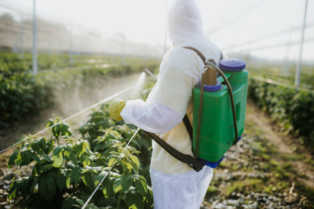 Best Mosquito Control Services  in Ellis, KS